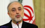 امیدواریم بسته پیشنهادی اروپا تا سال نو میلادی عملی شود / صالحی